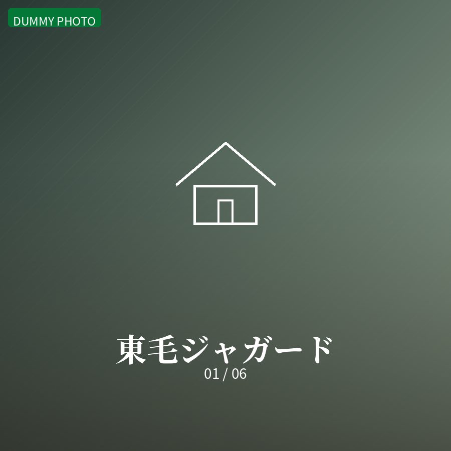 東毛ジャガード 01