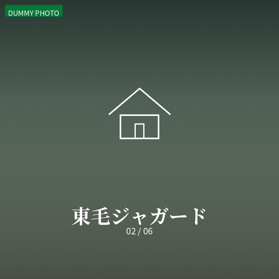 東毛ジャガード 02