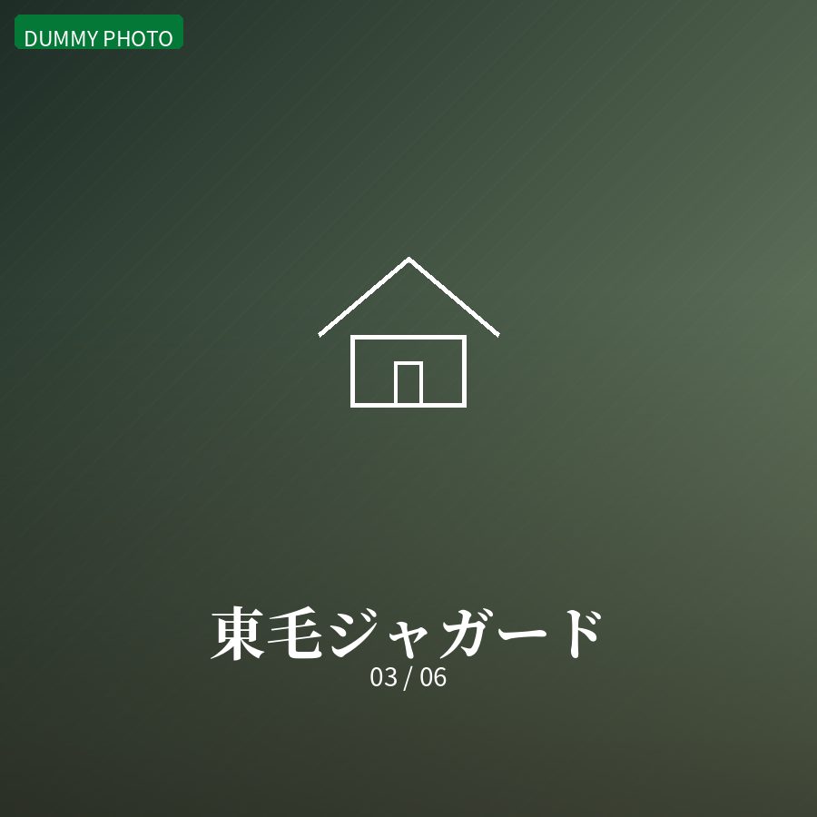 東毛ジャガード 03
