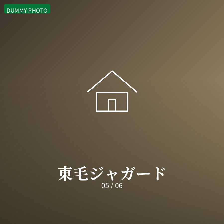 東毛ジャガード 05