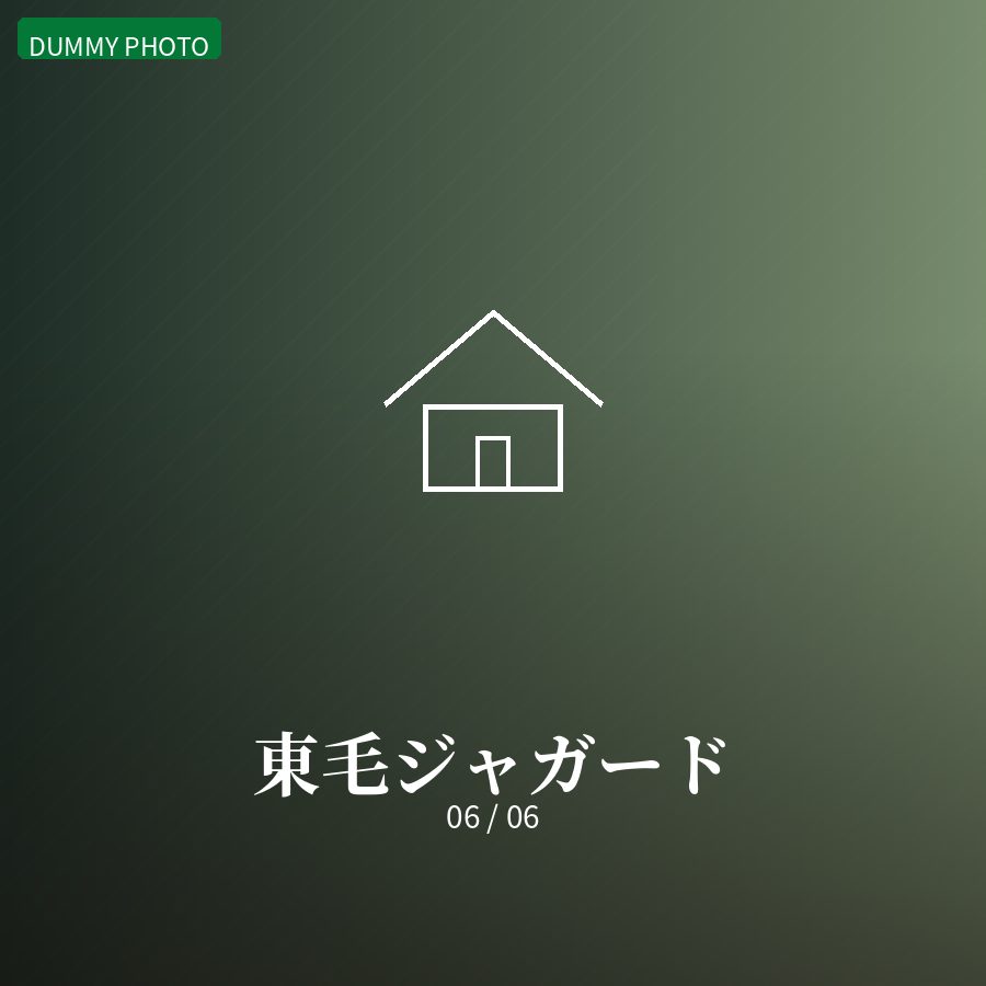東毛ジャガード 06